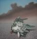 Art object - dead bird, seagull