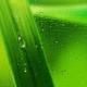Art object - Harmony in Green