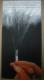 Art object - Raucherpause mit Hesse