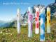 Art object - Several Beams (Stele) with alpine flowers