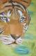 Art object - TIGER