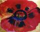 Mohnblume (2001) -Agnia Laur- - Agnia Sander - Ãl auf - Sonstiges-Mohn - Mohnblume (2001) -Agnia Laur- - Agnia Sander - Ãl auf - Sonstiges-Mohn -