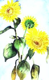 Sunflower 1 -Lutz Erler- - Lutz Erler - auf - Array - Sunflower 1 -Lutz Erler- - Lutz Erler - auf - Array -