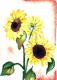 Sunflower 4 -Lutz Erler- - Lutz Erler - Aquarell auf Papier - Sonstiges - Sunflower 4 -Lutz Erler- - Lutz Erler - Aquarell auf Papier - Sonstiges -