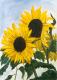 Sonnenblumen -Susanne-Vera Hucke- - Susanne-Vera Hucke - auf Papier - Blumen-Sonnenblumen - Sonnenblumen -Susanne-Vera Hucke- - Susanne-Vera Hucke - auf Papier - Blumen-Sonnenblumen -