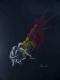 Art object - Befreiung (2002) -Bina-Art-