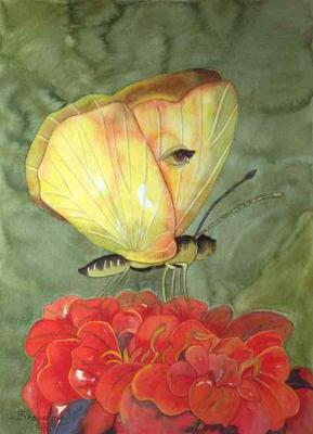 Augenfalter (1996) - Bergit Brandau - - Brandau-Art - Array auf Array - Array - Augenfalter (1996) - Bergit Brandau - - Brandau-Art - Array auf Array - Array -