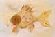 Art object - Goldfisch 2001 -Roland Carlos-