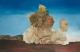 Art object - Sein 2002 -Anne Worbes-