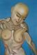 Art object - Vita Detail 2  2001 -Anne Worbes-