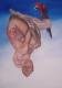 Art object - Ãrara 2001  -Anne Worbes-