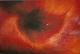 Art object - Feuriges Blatt (2002) -Kristin S.-