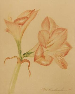 Blüte (1968) Udo Burkhardt - Udo Lutz Burkhardt - Array auf Array - Array - Blüte (1968) Udo Burkhardt - Udo Lutz Burkhardt - Array auf Array - Array -