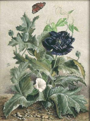 Bauernmohn (2002) Christine Becker - Christine Becker - Array auf Array - Array - Bauernmohn (2002) Christine Becker - Christine Becker - Array auf Array - Array -