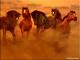 Art object - Stampede (2003) Astrid Schwarzkopf