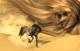 Art object - Desertdancer (2003) Astrid Schwarzkopf (Wizard)