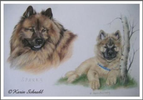 Eurasier SPARKY als Welpe u. heute - Karin Schnabl - Array auf - Array - Eurasier SPARKY als Welpe u. heute - Karin Schnabl - Array auf - Array -