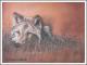 Autumn Wolf - Karin Schnabl - Pastels auf - Other - Autumn Wolf - Karin Schnabl - Pastels auf - Other -