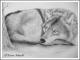Resting Wolf - Karin Schnabl - auf - Other - Resting Wolf - Karin Schnabl - auf - Other -