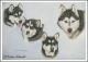 4 Malamuten - Karin Schnabl - Pastels auf - Other - 4 Malamuten - Karin Schnabl - Pastels auf - Other -