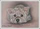 Westie -Pudel - Mix JENNY - Karin Schnabl - Pastels auf - Other - Westie -Pudel - Mix JENNY - Karin Schnabl - Pastels auf - Other -