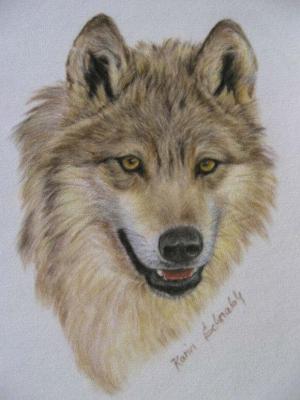 EYES OF HUNTER - Karin Schnabl - Array auf - Array - EYES OF HUNTER - Karin Schnabl - Array auf - Array -