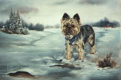 Vincenzo - Karin Schnabl - Karin Schnabl - Array auf - Array - Vincenzo - Karin Schnabl - Karin Schnabl - Array auf - Array -