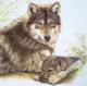 LIEGENDER WOLF mit WELPE - Karin Schnabl - Pastels auf - Other - LIEGENDER WOLF mit WELPE - Karin Schnabl - Pastels auf - Other -