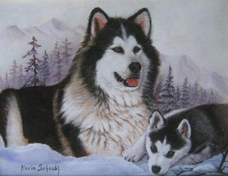 MALAMUTE mit WELPE - Karin Schnabl - Array auf Array - Array - MALAMUTE mit WELPE - Karin Schnabl - Array auf Array - Array -