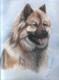 EURASIER - Karin Schnabl - Pastels auf - Other - EURASIER - Karin Schnabl - Pastels auf - Other -