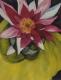 Seerose pink (2001/2002) Monika Hartz - Monika Hartz - Watercolour auf Paper - Other - 