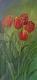 Tulpen - Monika Hartz - Monika Hartz - Pastels auf  - Other - 