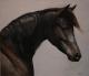 Art object - Athos dell