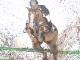 Art object - Horse is Jumping