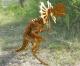 Art object - Design 3D-Puzzle Dilopho