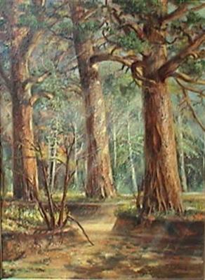 Welderlichte (2000) Andreas Seremak - Andreas Seremak - auf - Array - Array Welderlichte (2000) Andreas Seremak - Andreas Seremak - auf - Array - Array