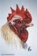 Kunstwerk - Hahn mit rotem Kamm (1997) Janette Herlinger
