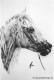 Kunstwerk - Araberhengst Salah (2001) Janette Herlinger