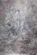 Art object - The white Dragon - Achim der Merath