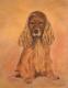Cockerspaniel - Martina Heinisch - Pastels auf - Other - Cockerspaniel - Martina Heinisch - Pastels auf - Other -