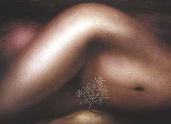 Geborgenheit - Carl W. Röhrig - Carl W. Röhrig - auf - Array - Geborgenheit - Carl W. Röhrig - Carl W. Röhrig - auf - Array -