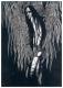 Art object - Lamia (2004) Meral Ismail