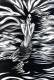 Art object - Rusalka (2004) Meral Ismail