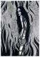 Art object - Lamia VII