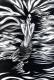Art object - Rusalka