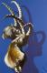 Art object - BÃ¶cke 1 (1992)