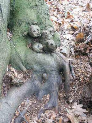 14. DIE NEUGIERIGEN SUPER - Burre Carmen - auf - Array - 14. DIE NEUGIERIGEN SUPER - Burre Carmen - auf - Array -