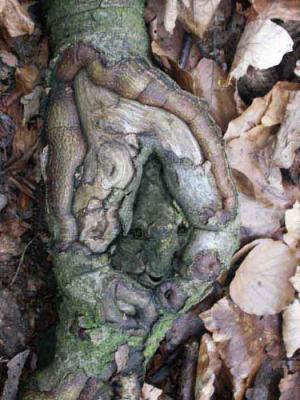 15. DRAGI SUPER - Burre Carmen - auf - Array - 15. DRAGI SUPER - Burre Carmen - auf - Array -