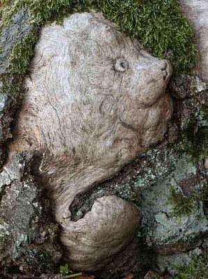 30. LUSTIGER GESELLE - Burre Carmen - auf - Array - 30. LUSTIGER GESELLE - Burre Carmen - auf - Array -