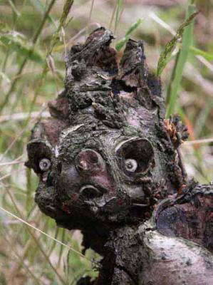 31. Mecky - Burre Carmen - auf - Array - 31. Mecky - Burre Carmen - auf - Array -